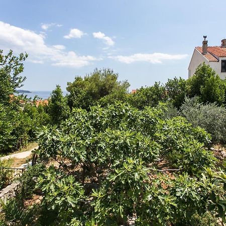 Apartment Tetepave Dubrovnik Eksteriør bilde